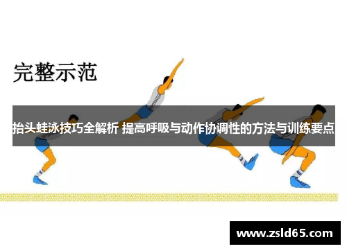 抬头蛙泳技巧全解析 提高呼吸与动作协调性的方法与训练要点