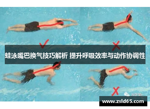 蛙泳嘴巴换气技巧解析 提升呼吸效率与动作协调性